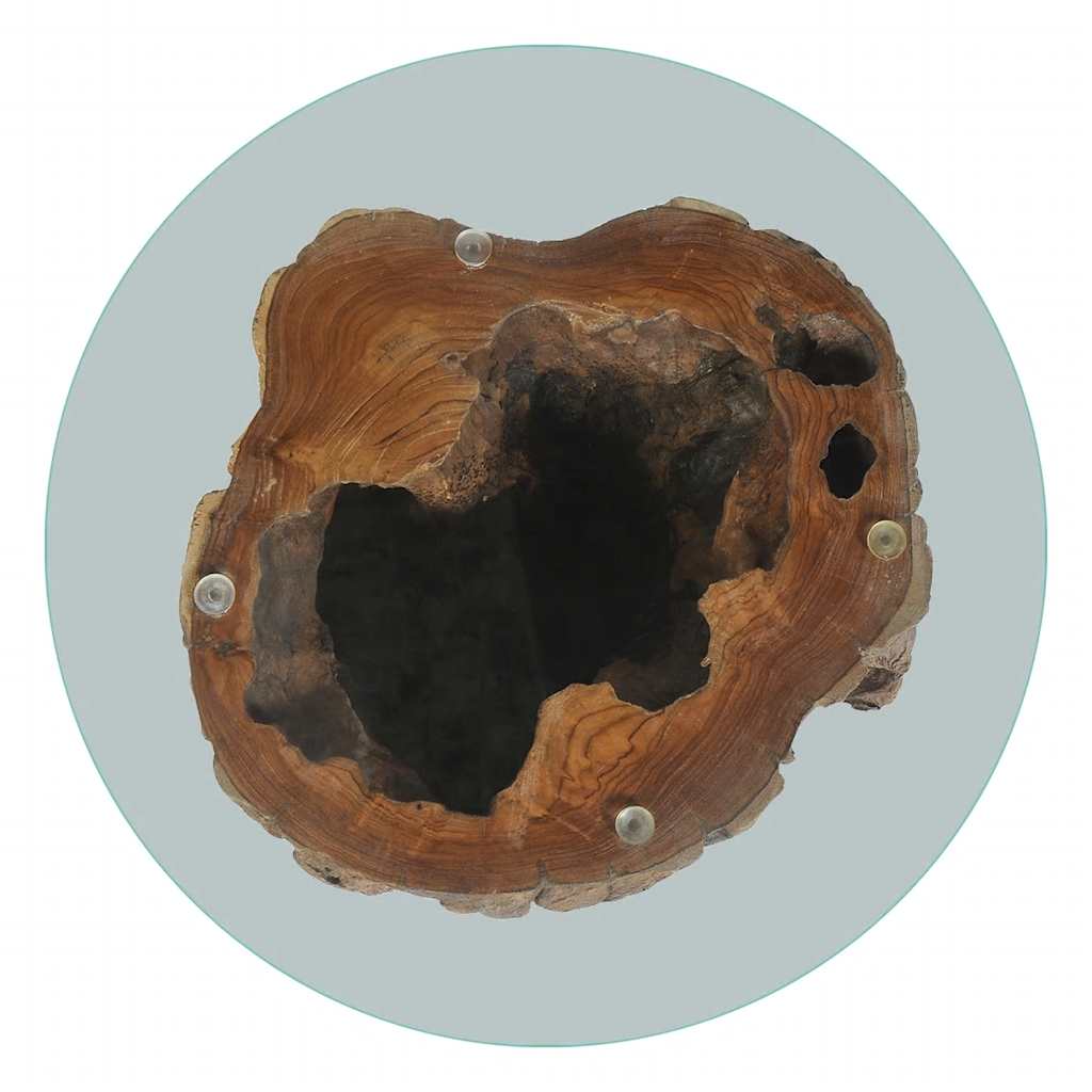 Salongbord Sofabord Tre Teak glass 50x40 cm