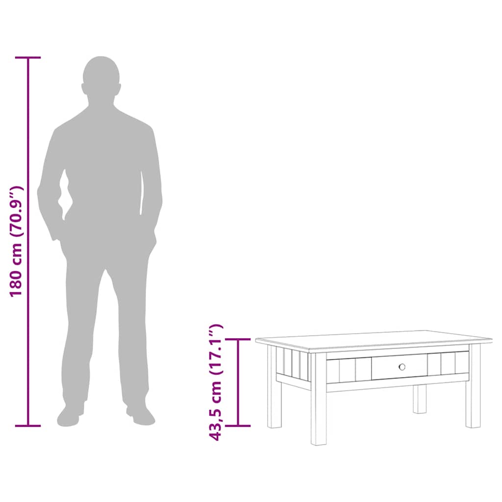 Salongbord Sofabord Grå 100x60x43,5 cm heltre furu Panama Range