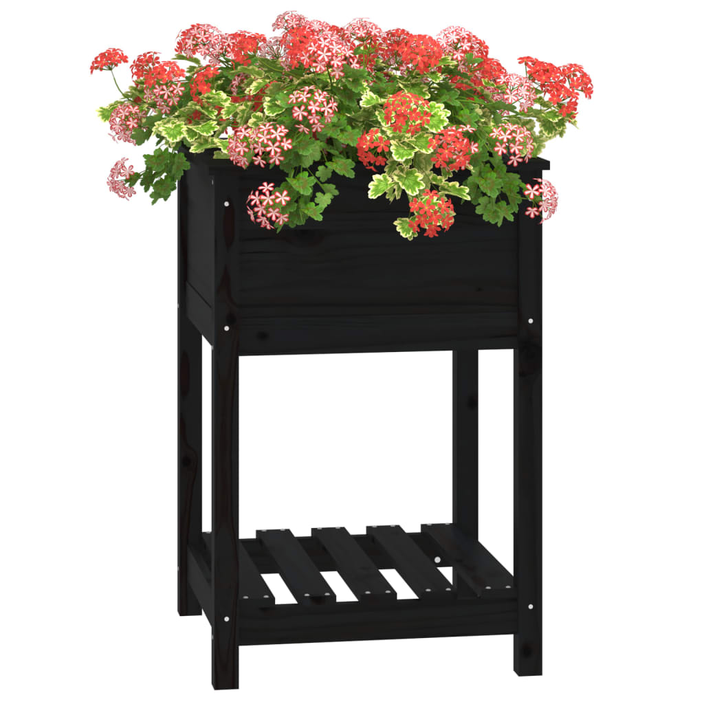 Utendørs Blomsterkasse Plantekasse Tre med hylle Svart 54x54x81 cm heltre furu