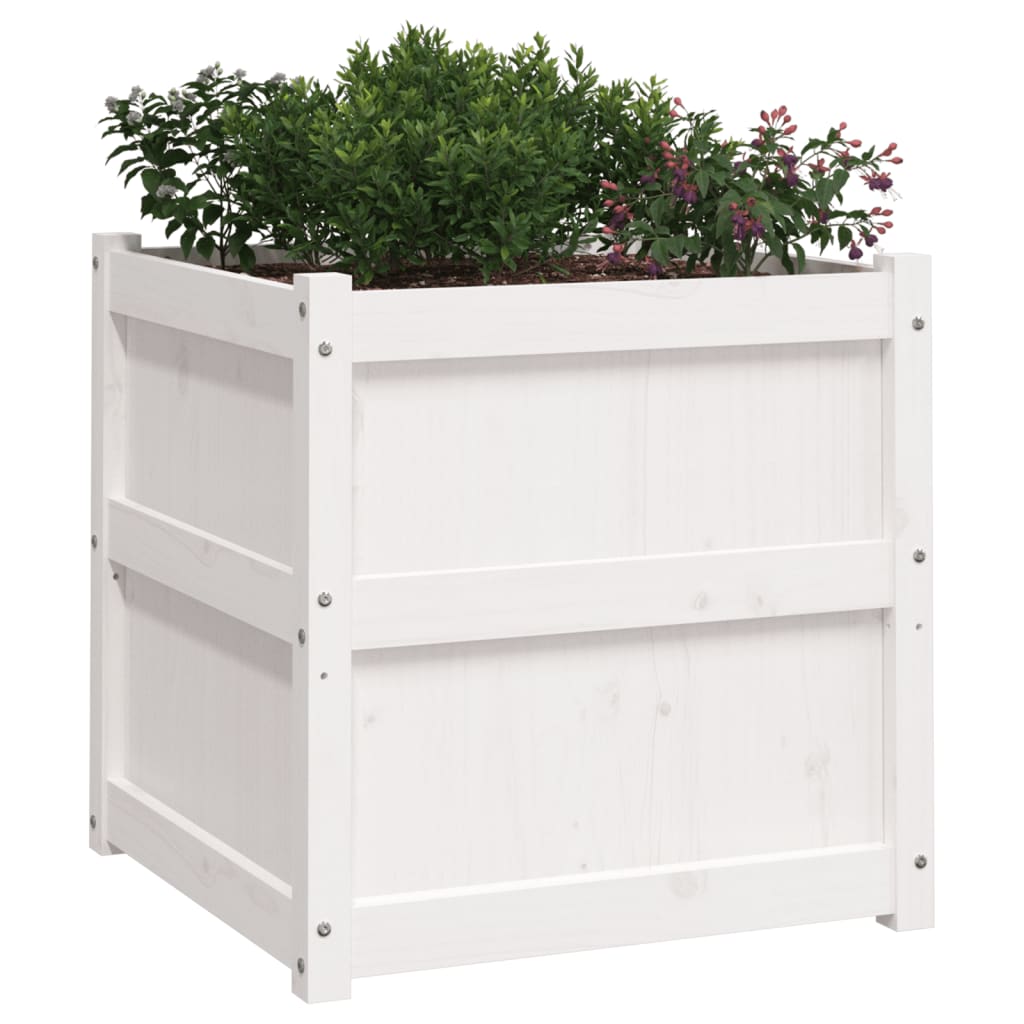 Utendørs Blomsterkasse Plantekasse Tre Hvit 60x60x60 cm heltre furu