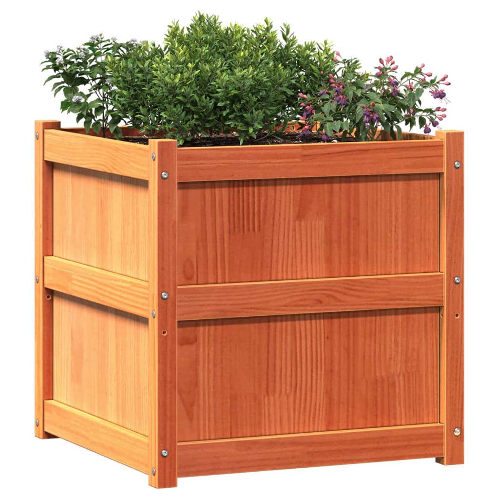 Utendørs Blomsterkasse Plantekasse Tre voksbrun 60x60x60 cm heltre furu