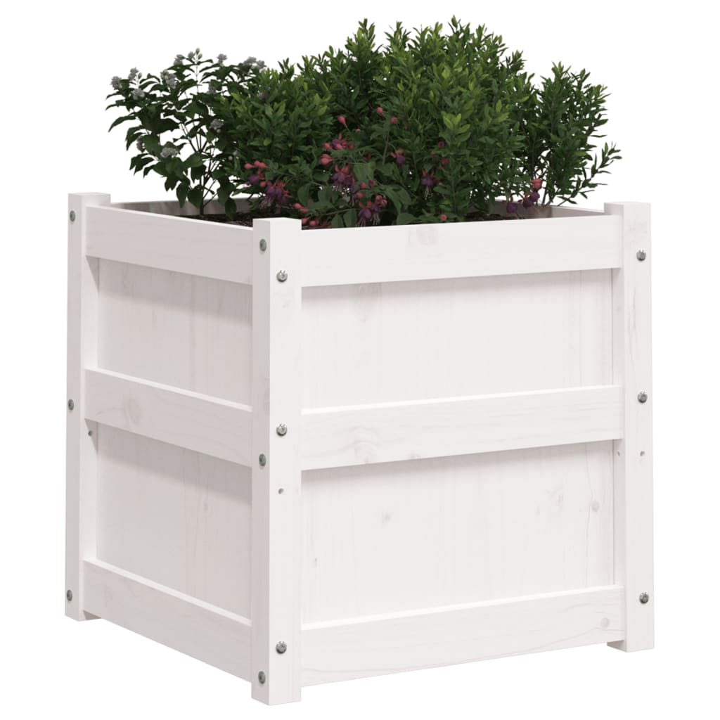 Utendørs Blomsterkasse Plantekasse Tre Hvit 50x50x50 cm heltre furu