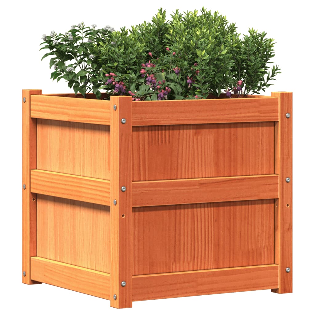 Utendørs Blomsterkasse Plantekasse Tre voksbrun 50x50x50 cm heltre furu