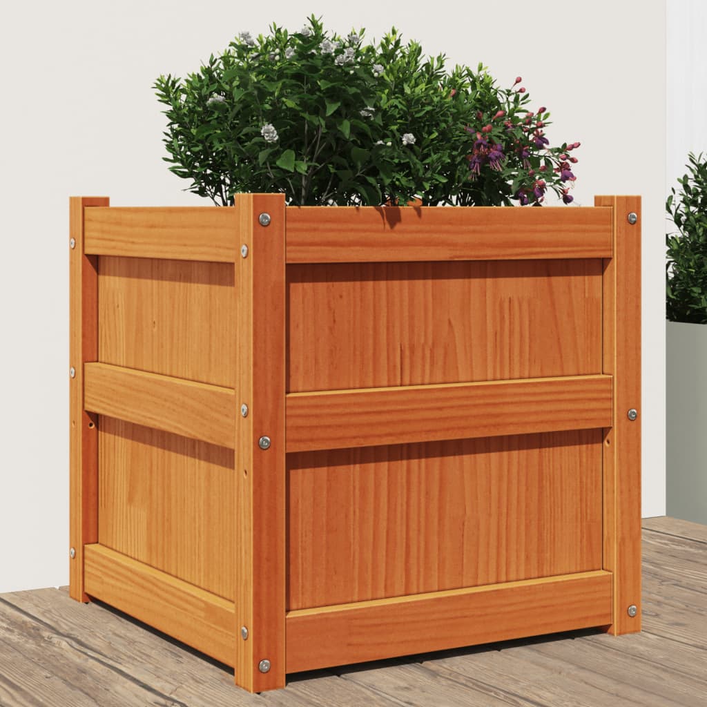 Utendørs Blomsterkasse Plantekasse Tre voksbrun 50x50x50 cm heltre furu
