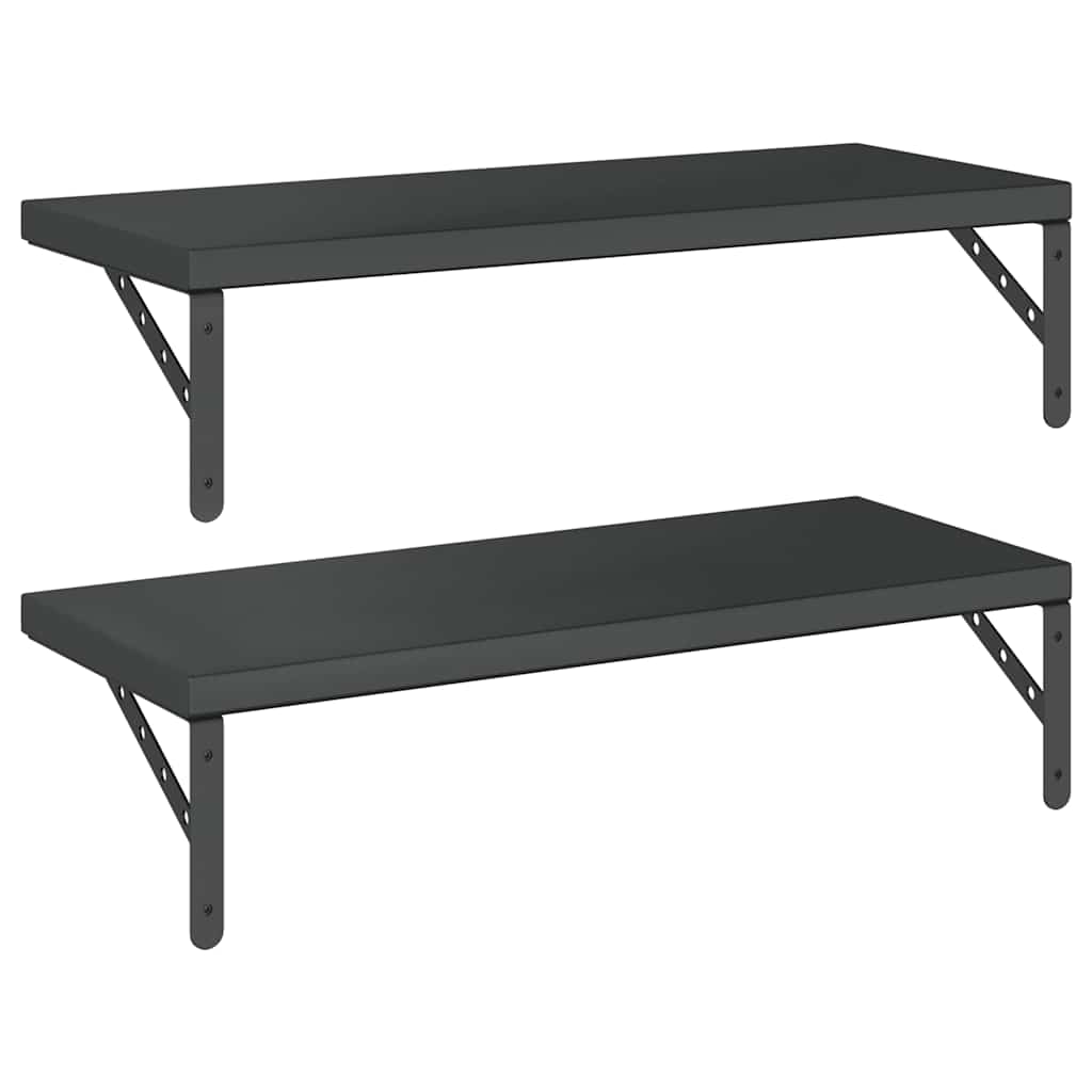 Vegghylle DIV. 2 stk 75x30 cm Svart rustfritt stål