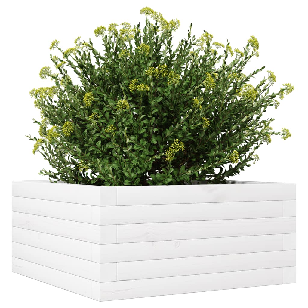 Utendørs Blomsterkasse Plantekasse Tre Hvit 50x50x23 cm heltre furu