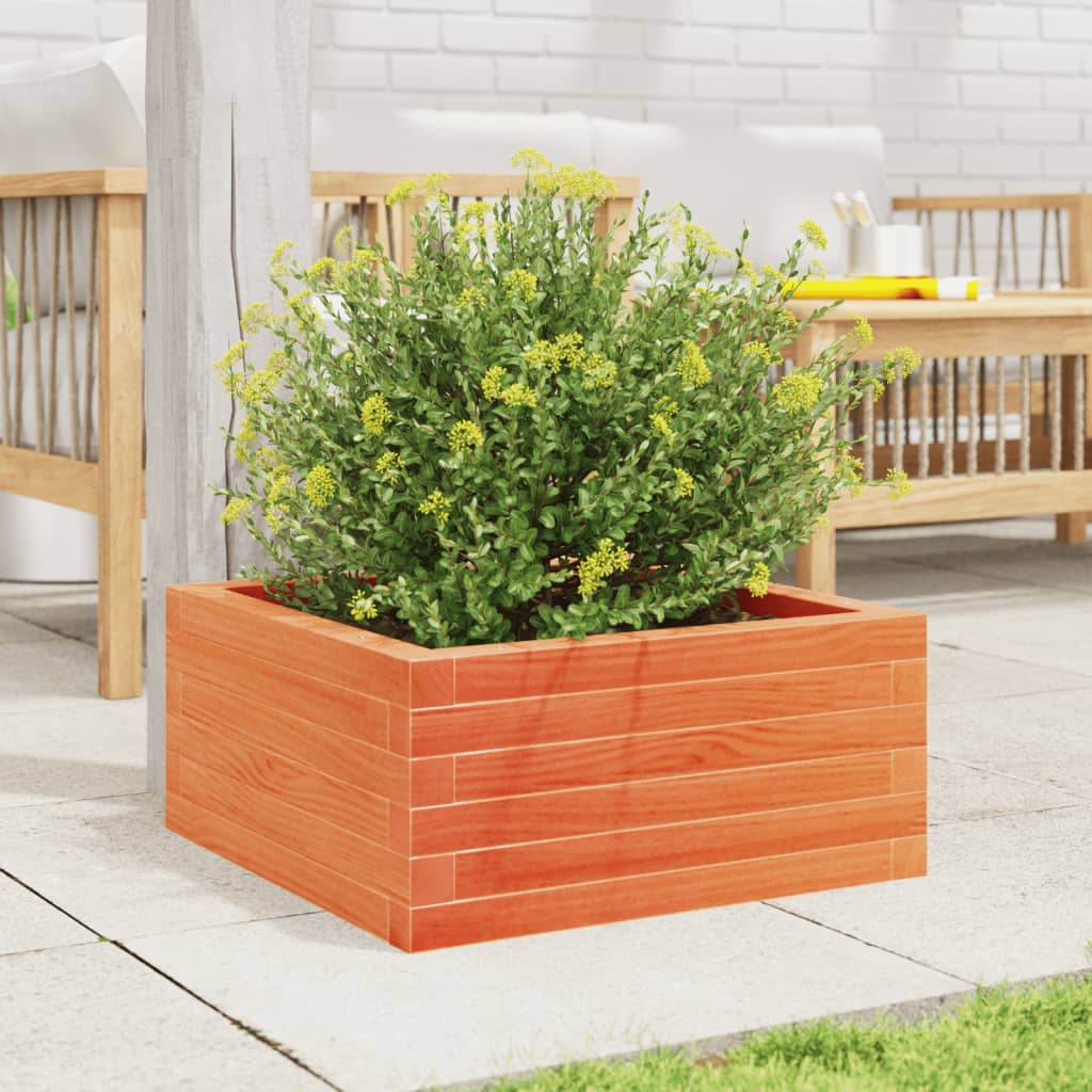 Utendørs Blomsterkasse Plantekasse Tre voksbrun 50x50x23 cm heltre furu