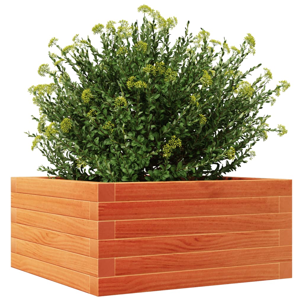 Utendørs Blomsterkasse Plantekasse Tre voksbrun 50x50x23 cm heltre furu