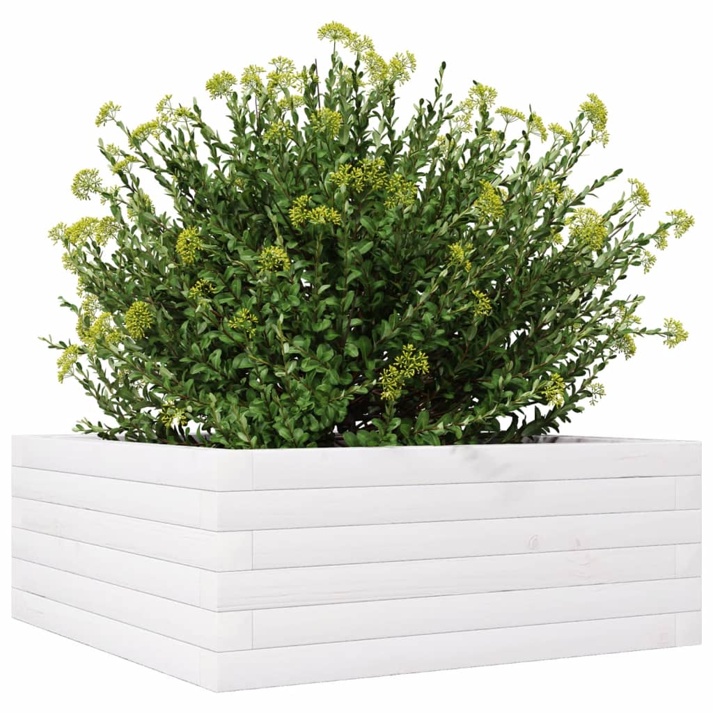 Utendørs Blomsterkasse Plantekasse Tre Hvit 60x60x23 cm heltre furu