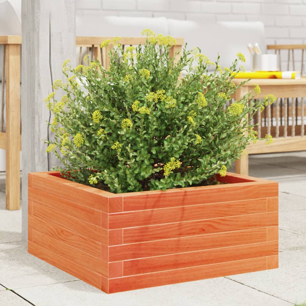 Utendørs Blomsterkasse Plantekasse Tre voksbrun 60x60x23 cm heltre furu