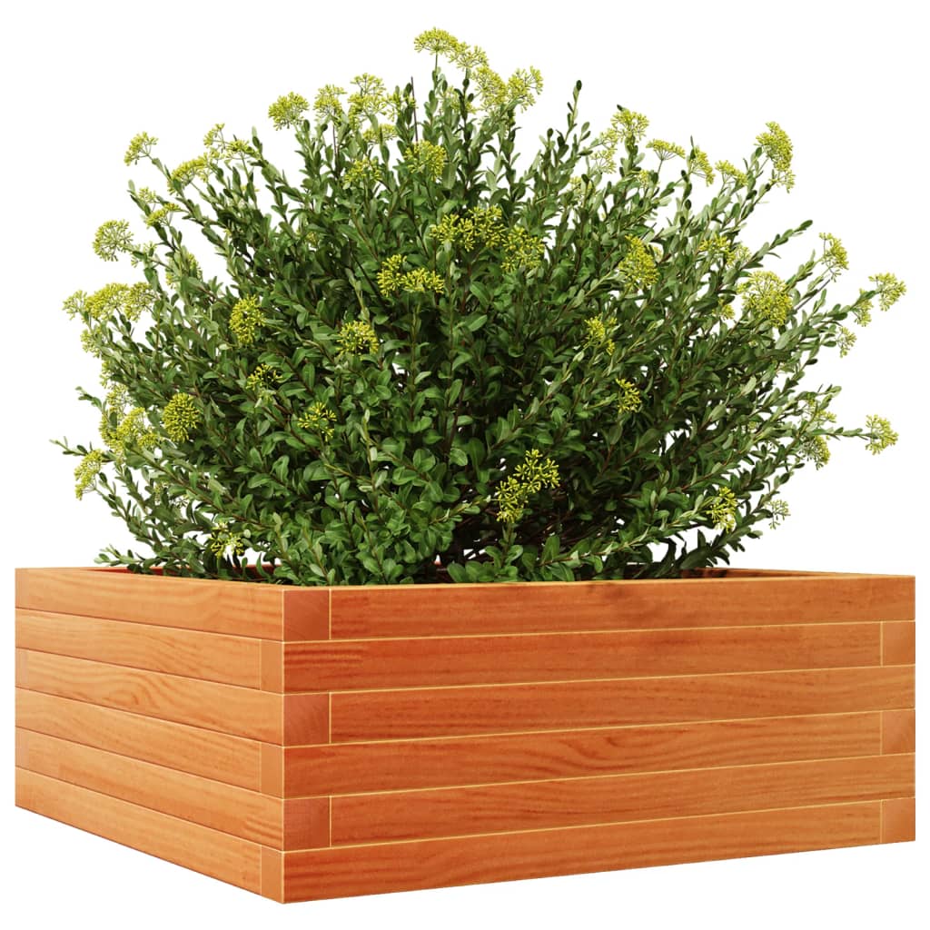 Utendørs Blomsterkasse Plantekasse Tre voksbrun 60x60x23 cm heltre furu