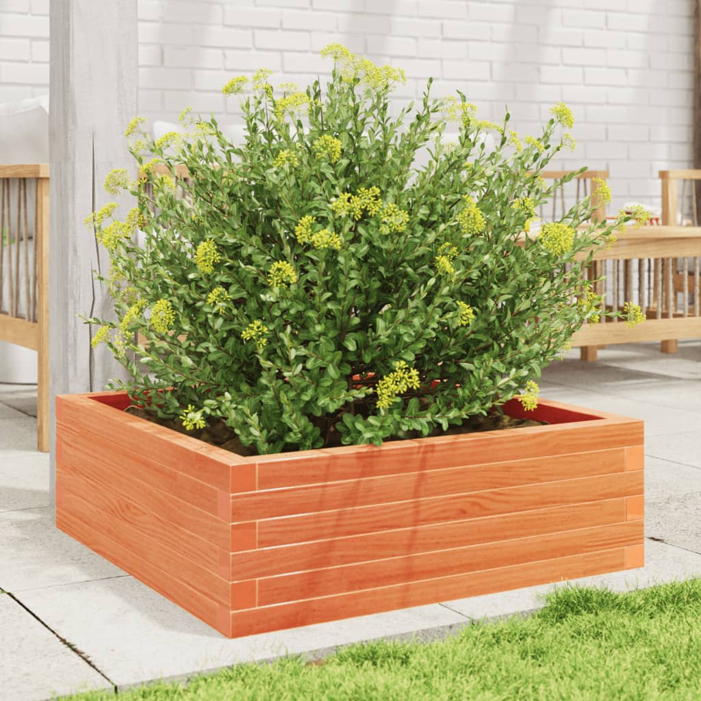 Utendørs Blomsterkasse Plantekasse Tre voksbrun 70x70x23 cm heltre furu