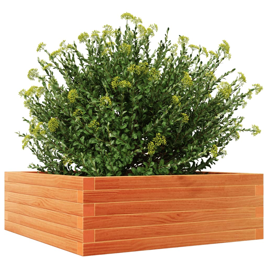 Utendørs Blomsterkasse Plantekasse Tre voksbrun 70x70x23 cm heltre furu