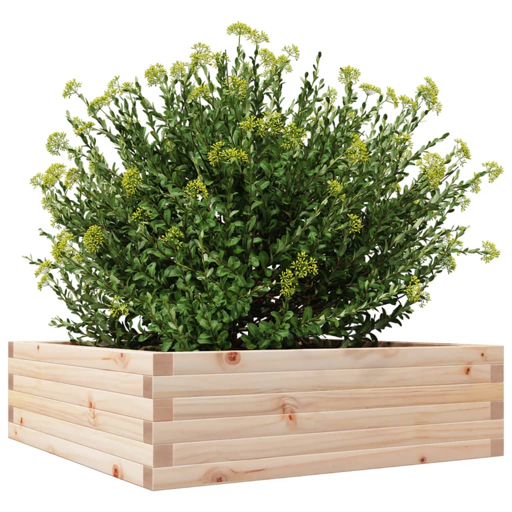 Utendørs Blomsterkasse Plantekasse Tre 80x80x23 cm heltre furu