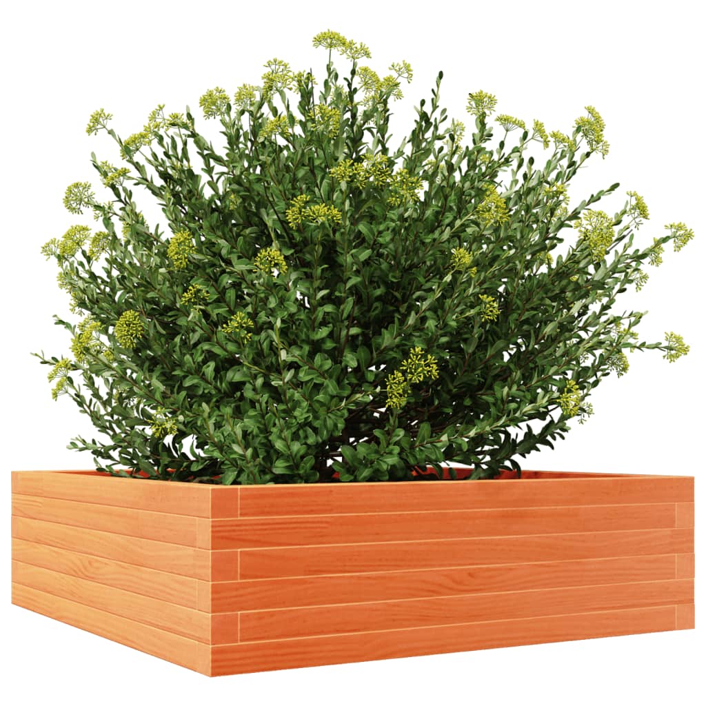 Utendørs Blomsterkasse Plantekasse Tre voksbrun 80x80x23 cm heltre furu