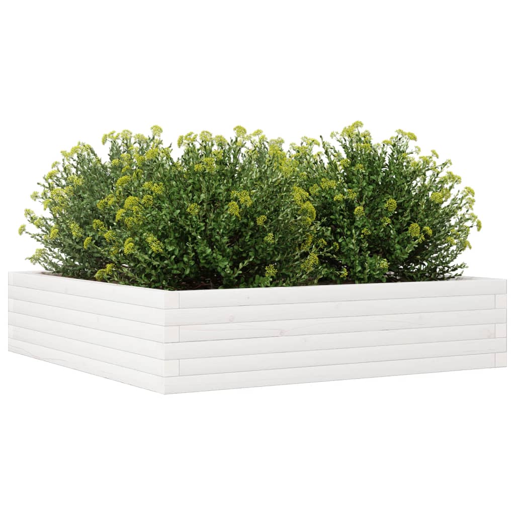 Utendørs Blomsterkasse Plantekasse Tre Hvit 100x100x23 cm heltre furu