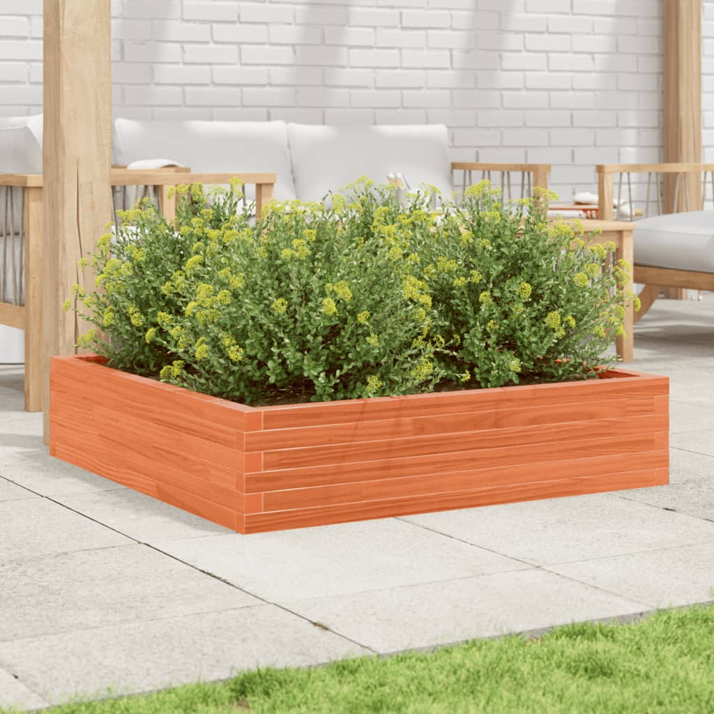 Utendørs Blomsterkasse Plantekasse Tre voksbrun 100x100x23 cm heltre furu