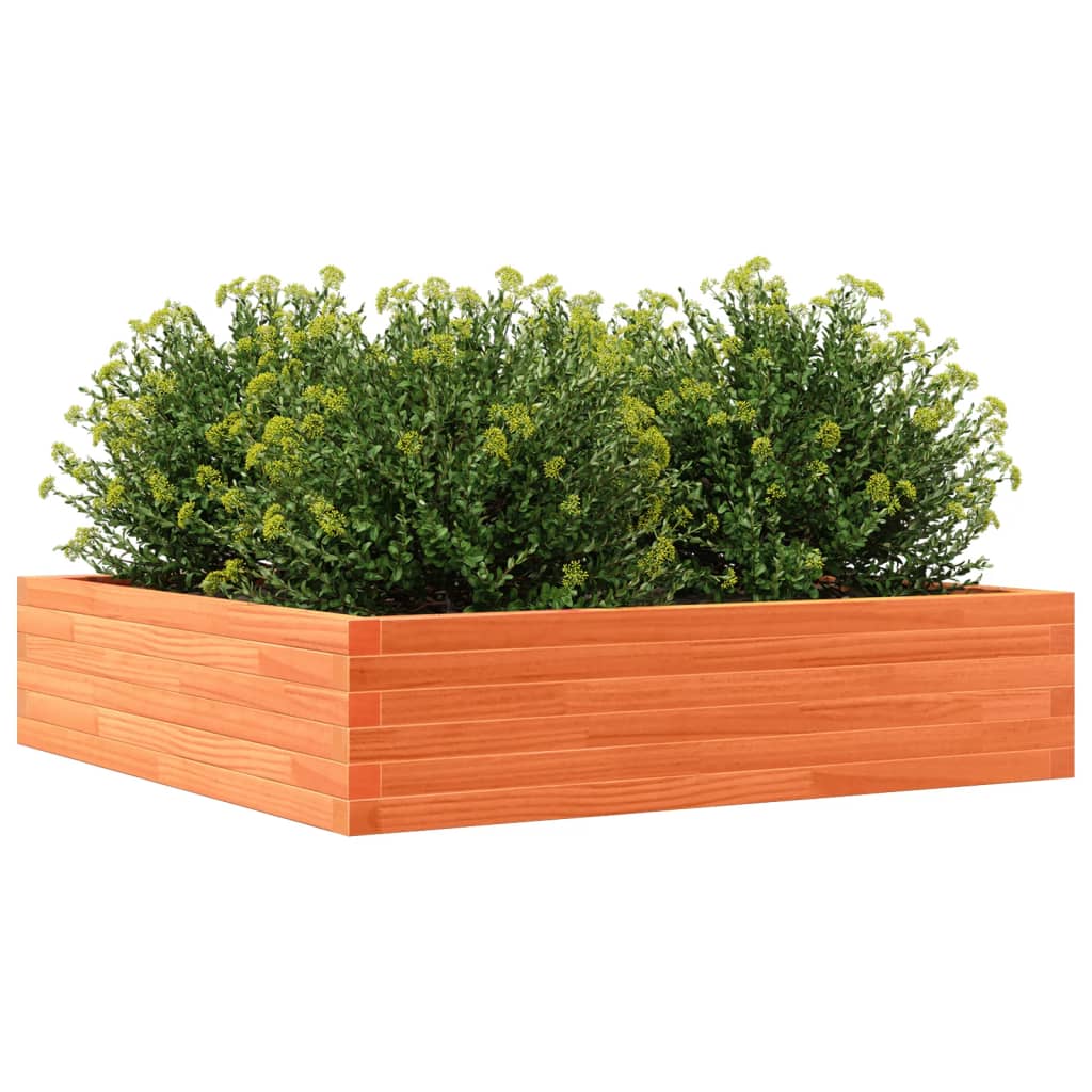 Utendørs Blomsterkasse Plantekasse Tre voksbrun 100x100x23 cm heltre furu