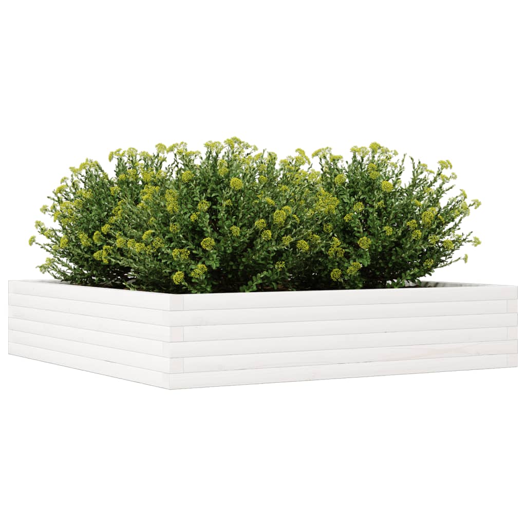 Utendørs Blomsterkasse Plantekasse Tre Hvit 110x110x23 cm heltre furu