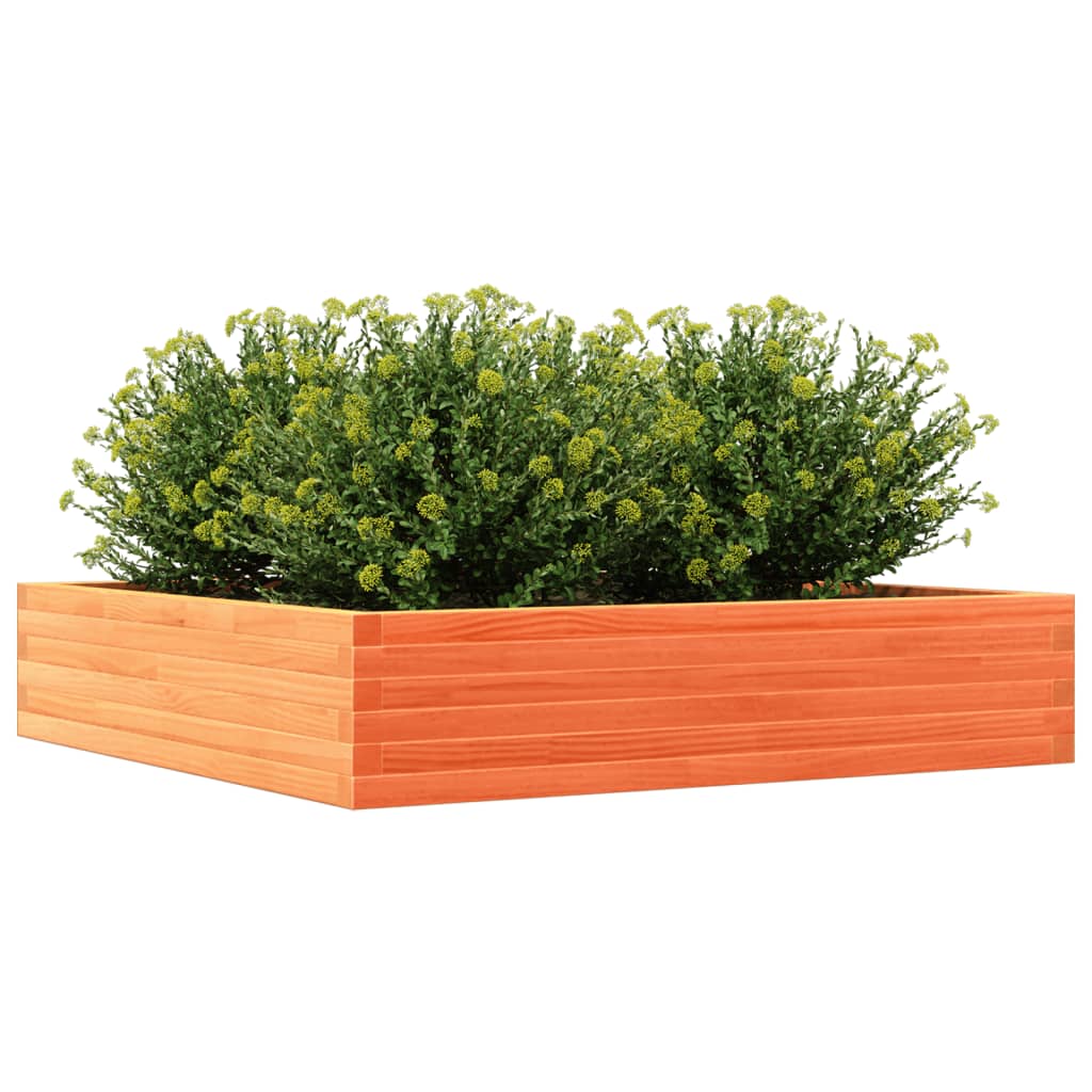 Utendørs Blomsterkasse Plantekasse Tre voksbrun 110x110x23 cm heltre furu