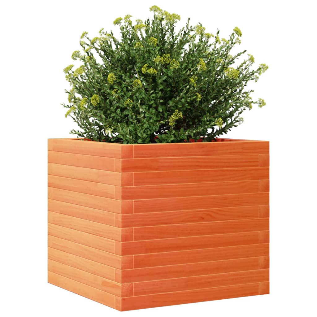 Utendørs Blomsterkasse Plantekasse Tre voksbrun 50x50x45,5 cm heltre furu
