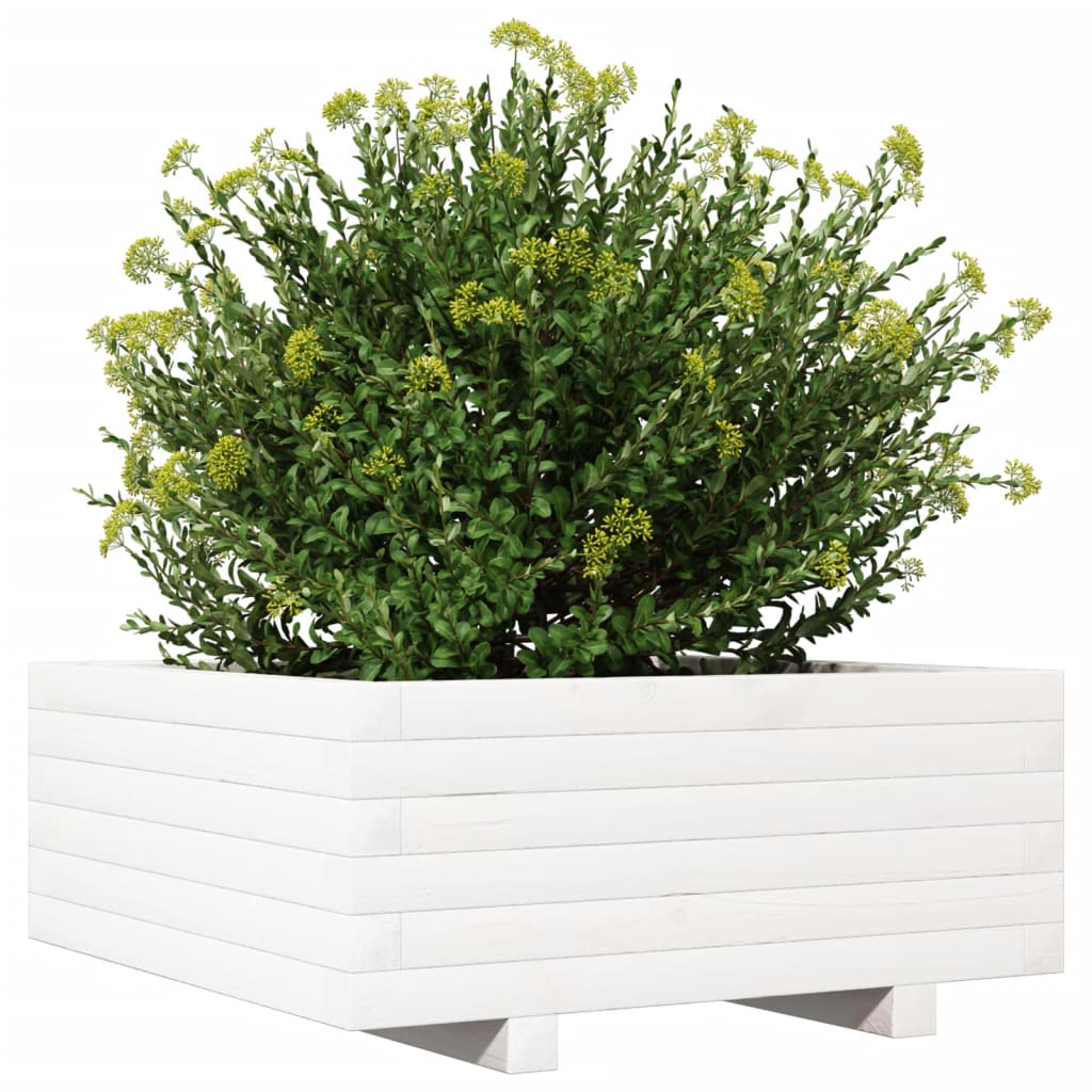 Utendørs Blomsterkasse Plantekasse Tre Hvit 60x60x26,5 cm heltre furu