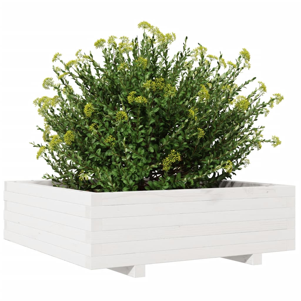 Utendørs Blomsterkasse Plantekasse Tre Hvit 80x80x26,5 cm heltre furu
