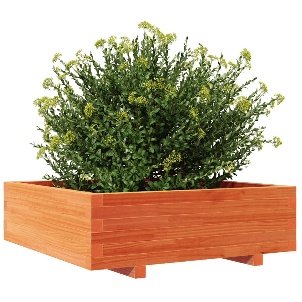 Utendørs Blomsterkasse Plantekasse Tre voksbrun 80x80x26,5 cm heltre furu