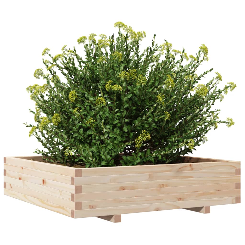 Utendørs Blomsterkasse Plantekasse Tre 100x100x26,5 cm heltre furu