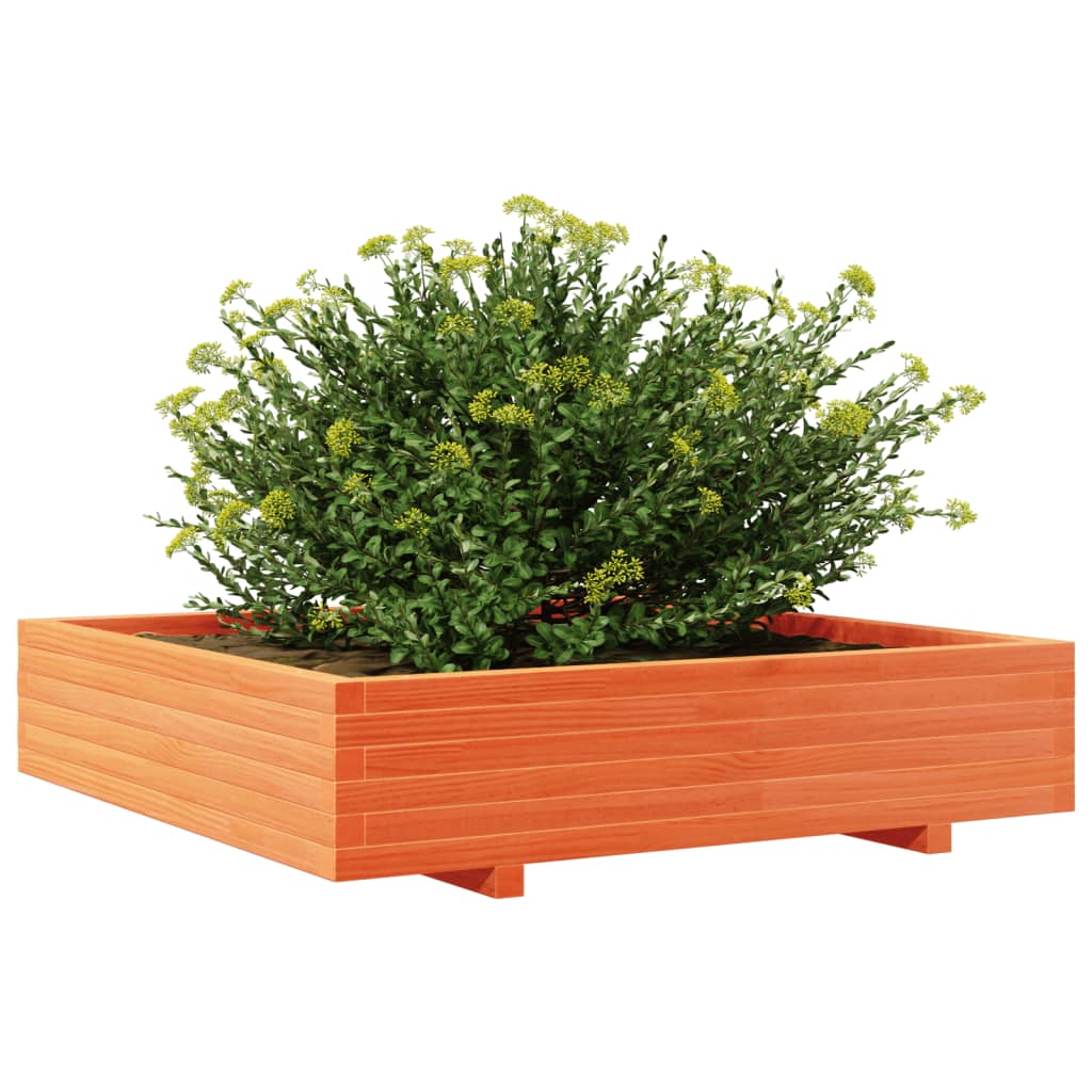 Utendørs Blomsterkasse Plantekasse Tre voksbrun 110x110x26,5 cm heltre furu