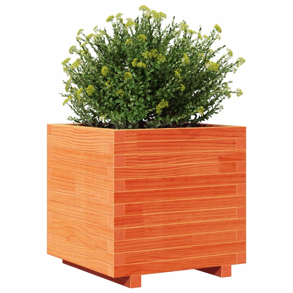 Utendørs Blomsterkasse Plantekasse Tre voksbrun 50x50x49,5 cm heltre furu
