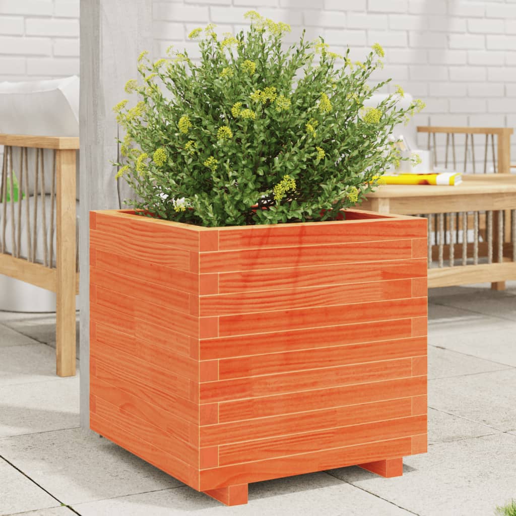 Utendørs Blomsterkasse Plantekasse Tre voksbrun 50x50x49,5 cm heltre furu