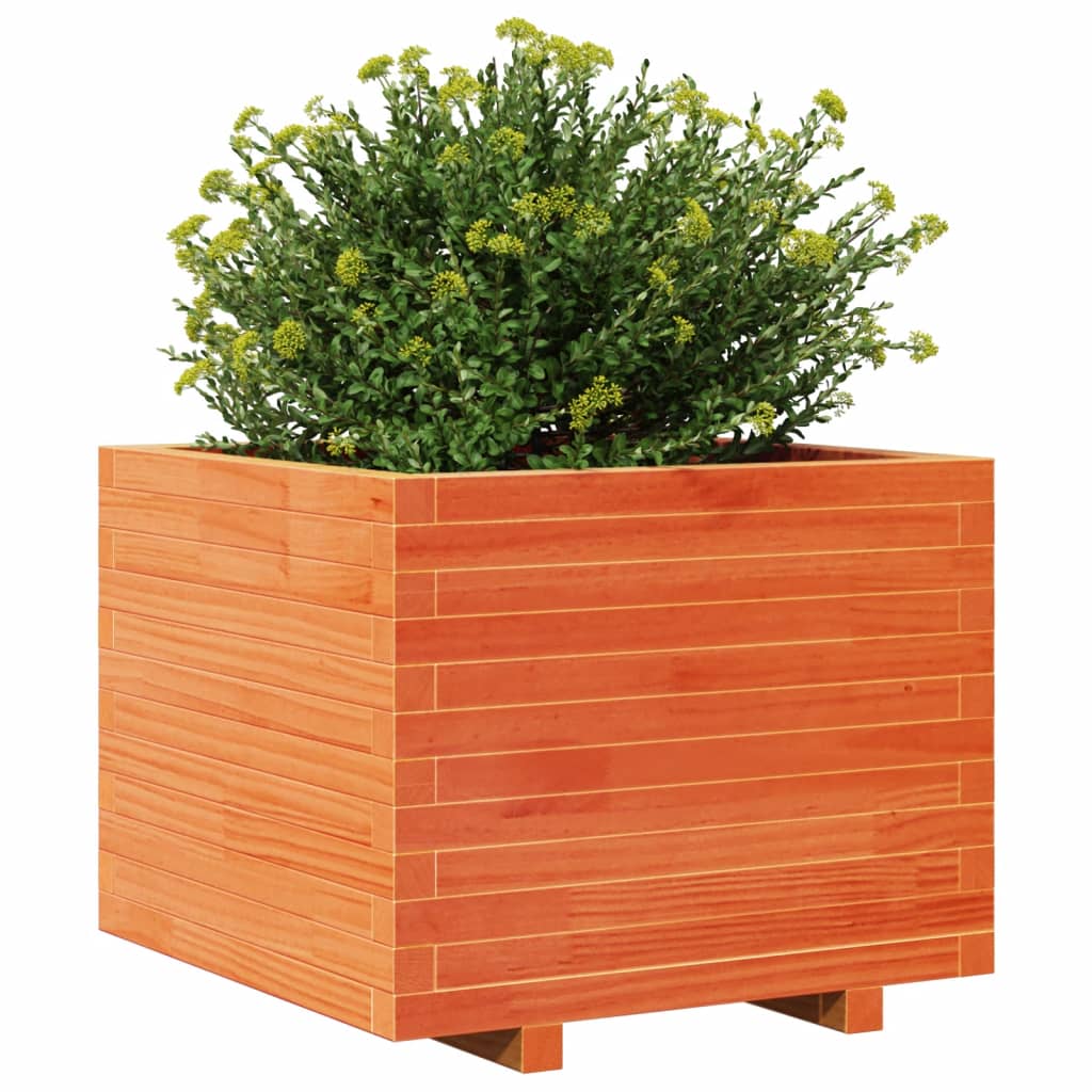 Utendørs Blomsterkasse Plantekasse Tre voksbrun 60x60x49,5 cm heltre furu
