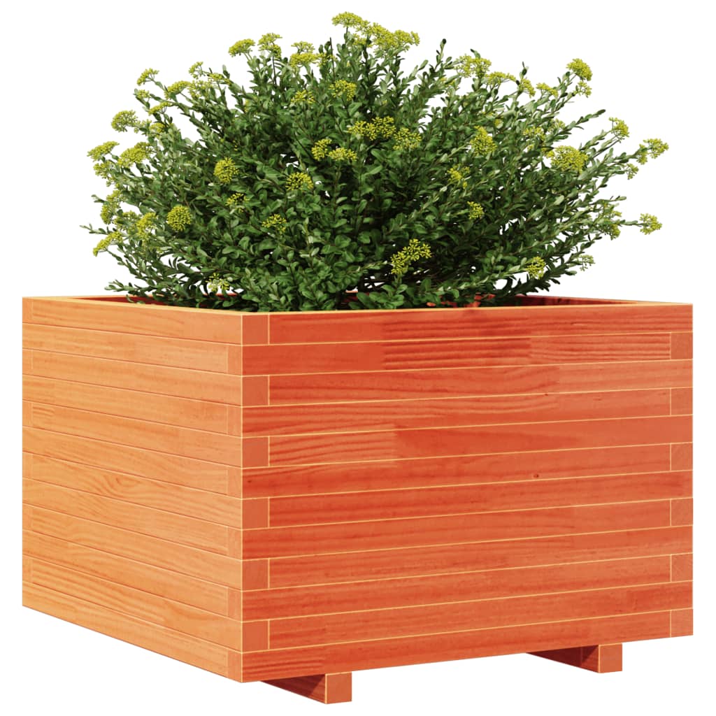 Utendørs Blomsterkasse Plantekasse Tre voksbrun 70x70x49,5 cm heltre furu