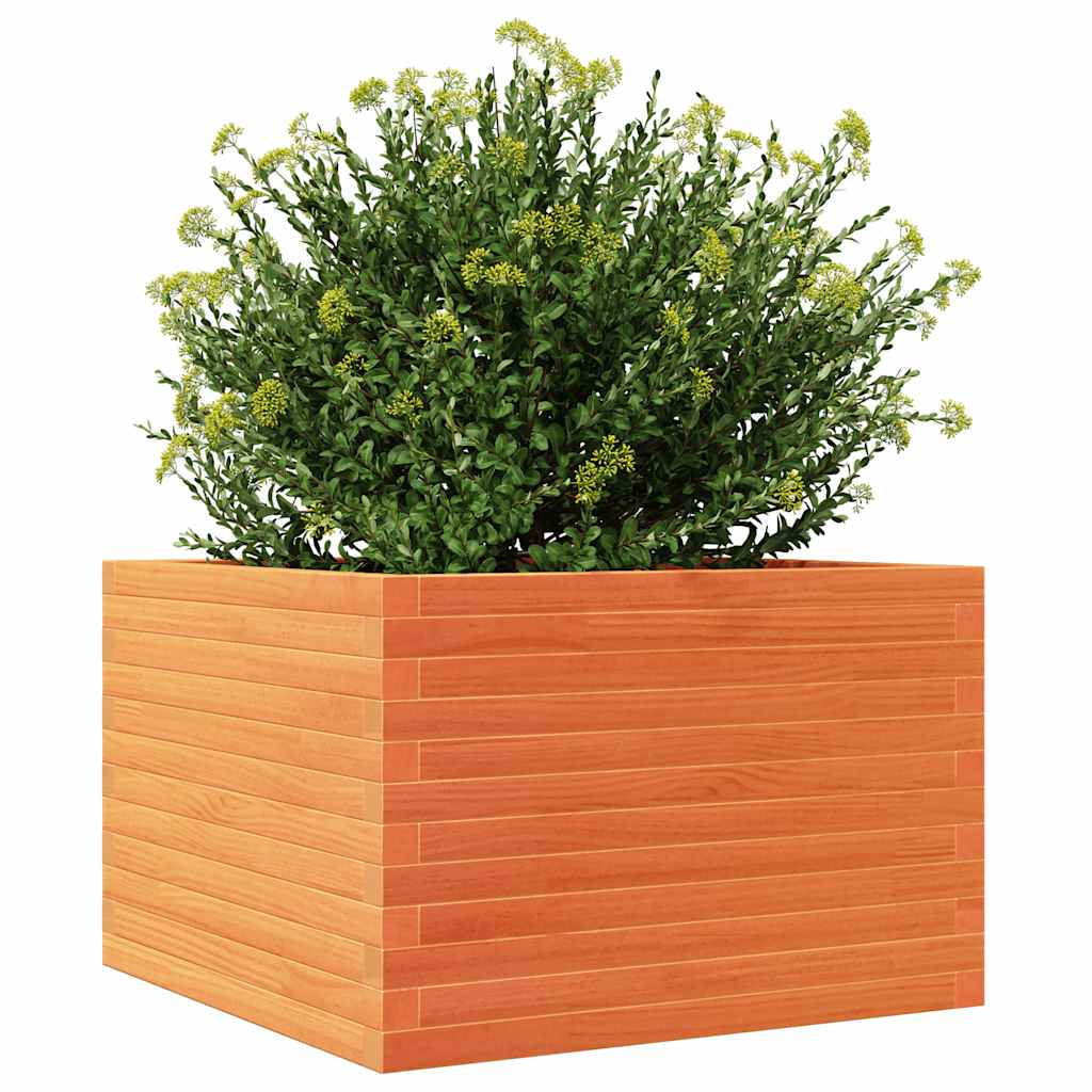 Utendørs Blomsterkasse Plantekasse Tre voksbrun 70x70x46 cm heltre furu