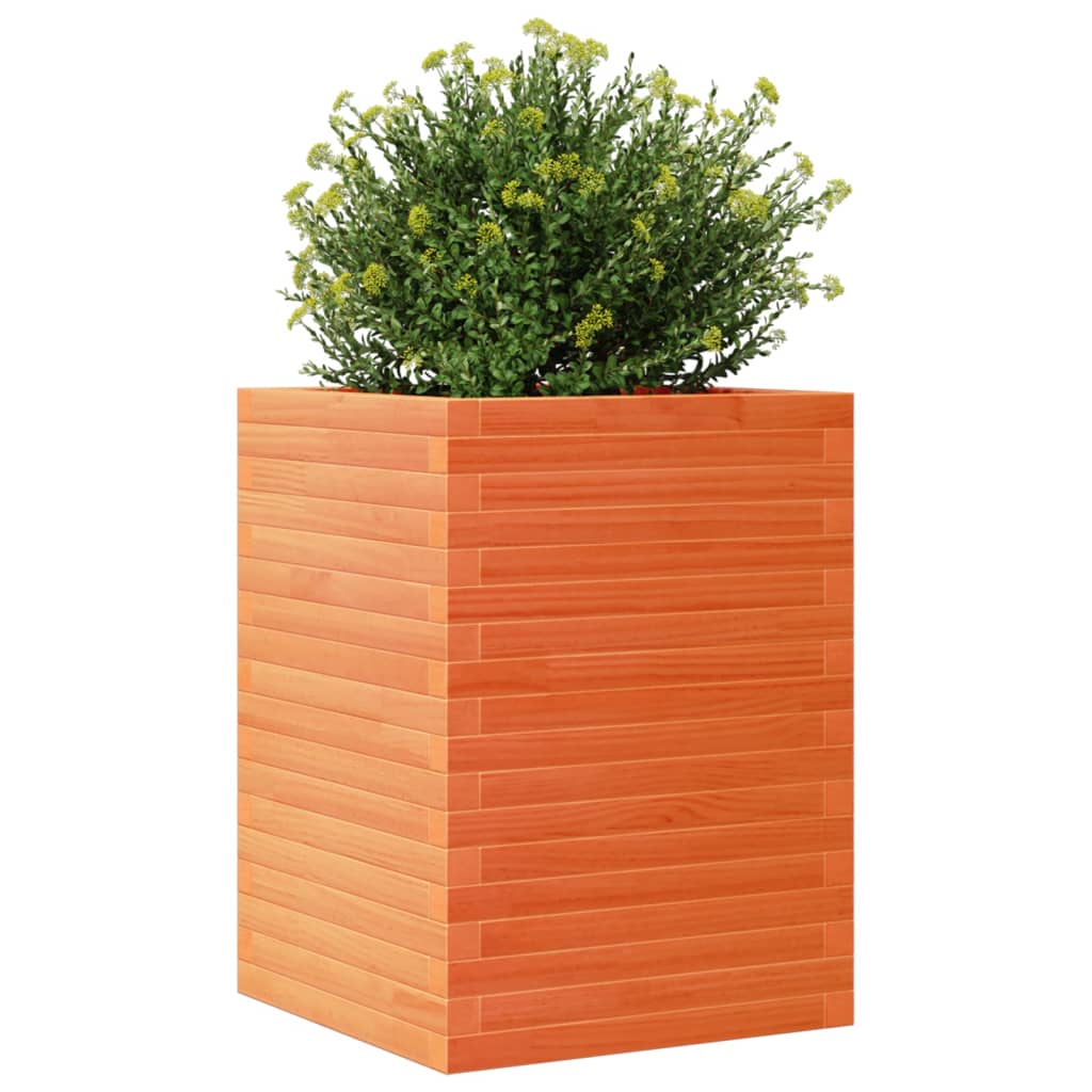 Utendørs Blomsterkasse Plantekasse Tre voksbrun 50x50x68,5 cm heltre furu