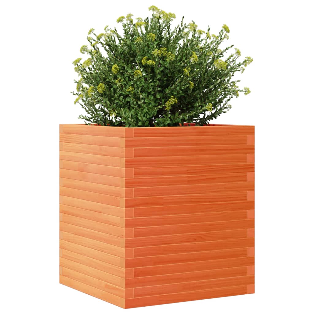 Utendørs Blomsterkasse Plantekasse Tre voksbrun 60x60x68,5 cm heltre furu