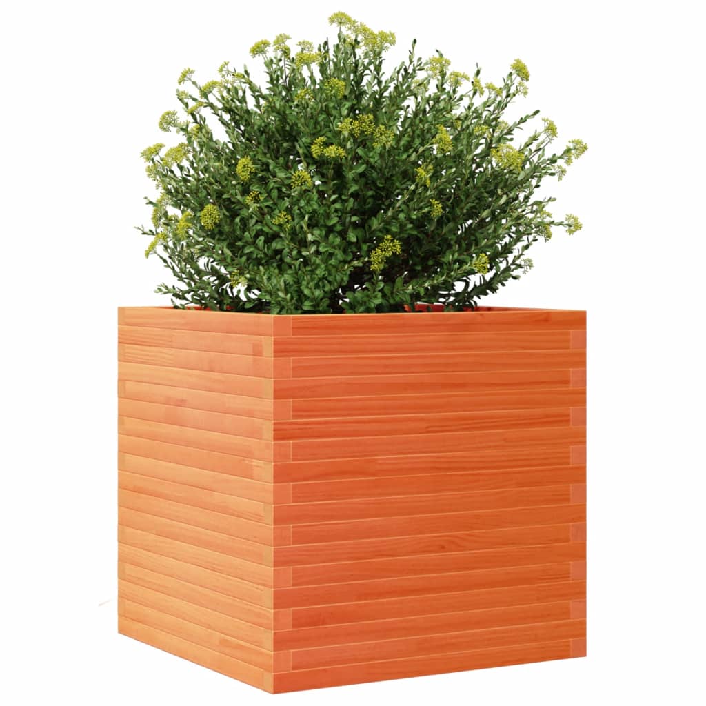 Utendørs Blomsterkasse Plantekasse Tre voksbrun 70x70x68,5 cm heltre furu