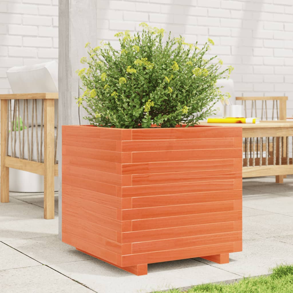 Utendørs Blomsterkasse Plantekasse Tre voksbrun 50x50x49,5 cm heltre furu