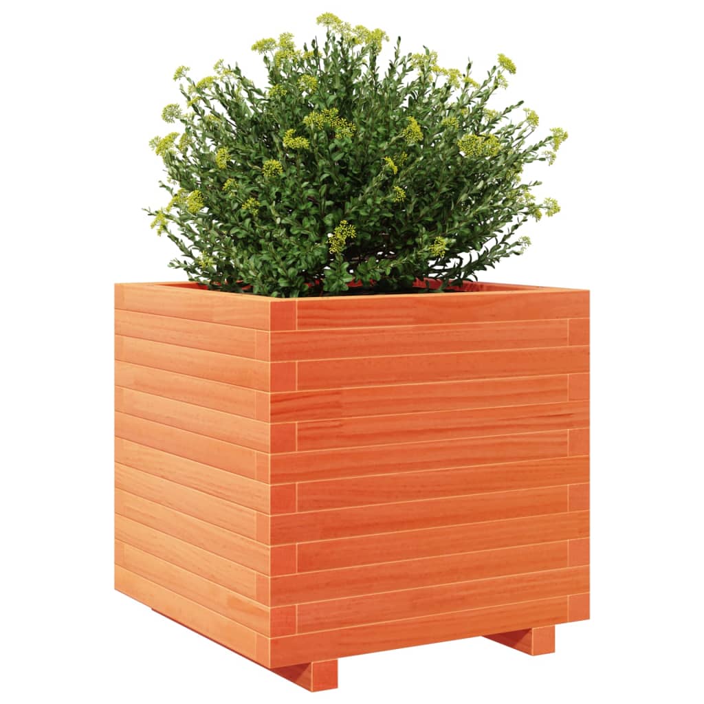 Utendørs Blomsterkasse Plantekasse Tre voksbrun 50x50x49,5 cm heltre furu