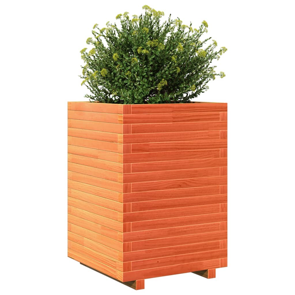 Utendørs Blomsterkasse Plantekasse Tre voksbrun 50x50x72 cm heltre furu