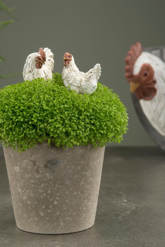 Pynt Hane Høne stick Poly 7x5cm Mix 2-pack