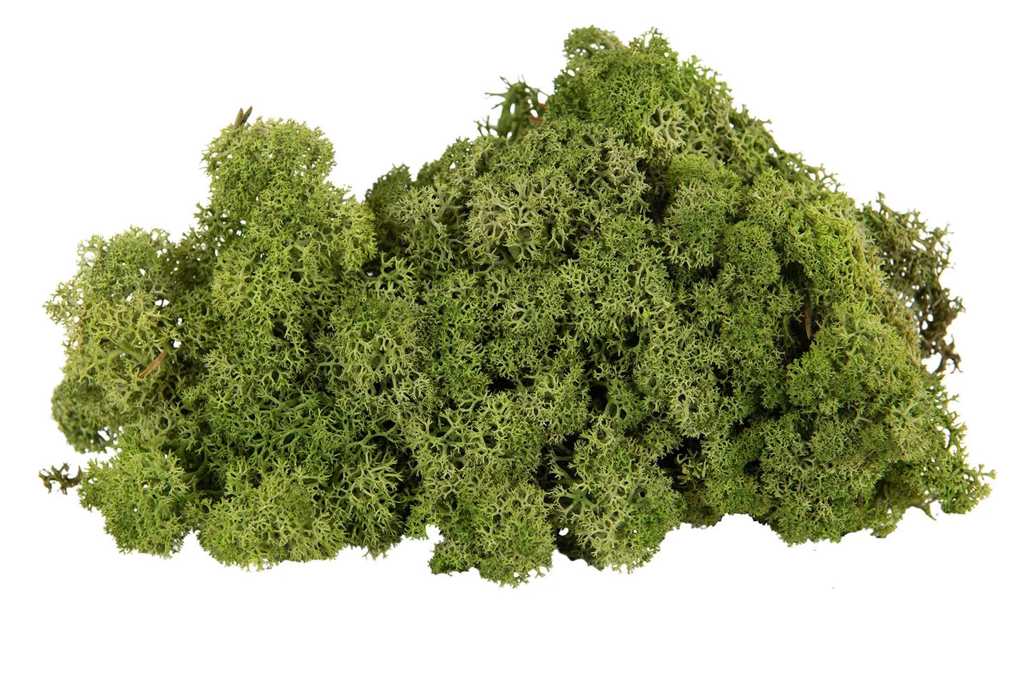 Jul div. Mose Hvitmose Flammesikker Grønn 500g