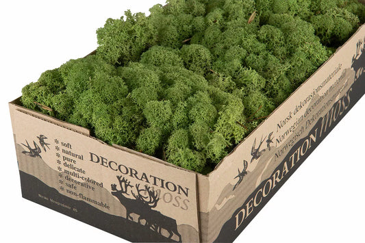 Jul div. Mose Hvitmose Flammesikker Grønn 500g