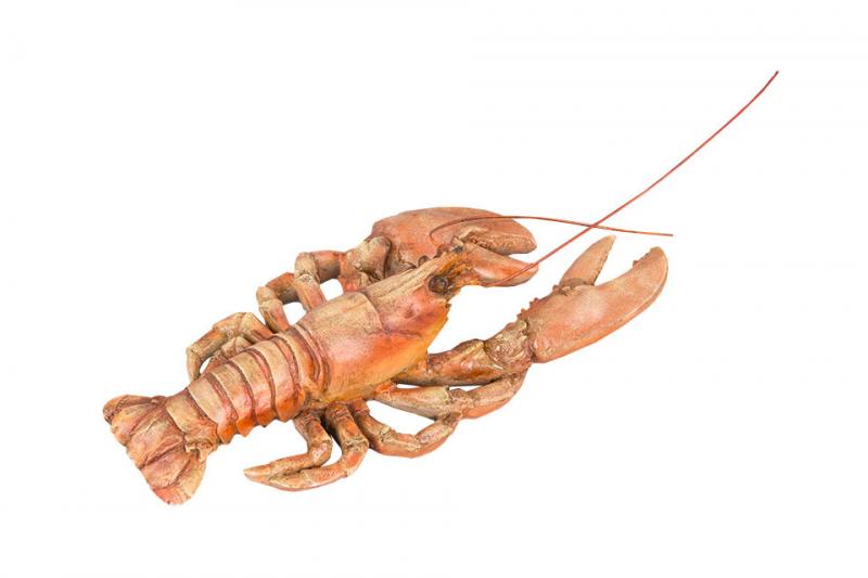 Maritim Dekorasjon Kreps Poly 43x14x7,5cm SALG