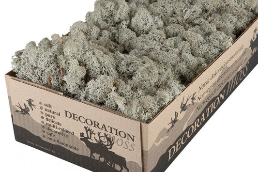 Jul div. Mose Hvitmose Flammesikker Grå 500g