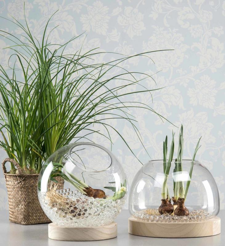 Pynt Vannkuler 2cm 4L