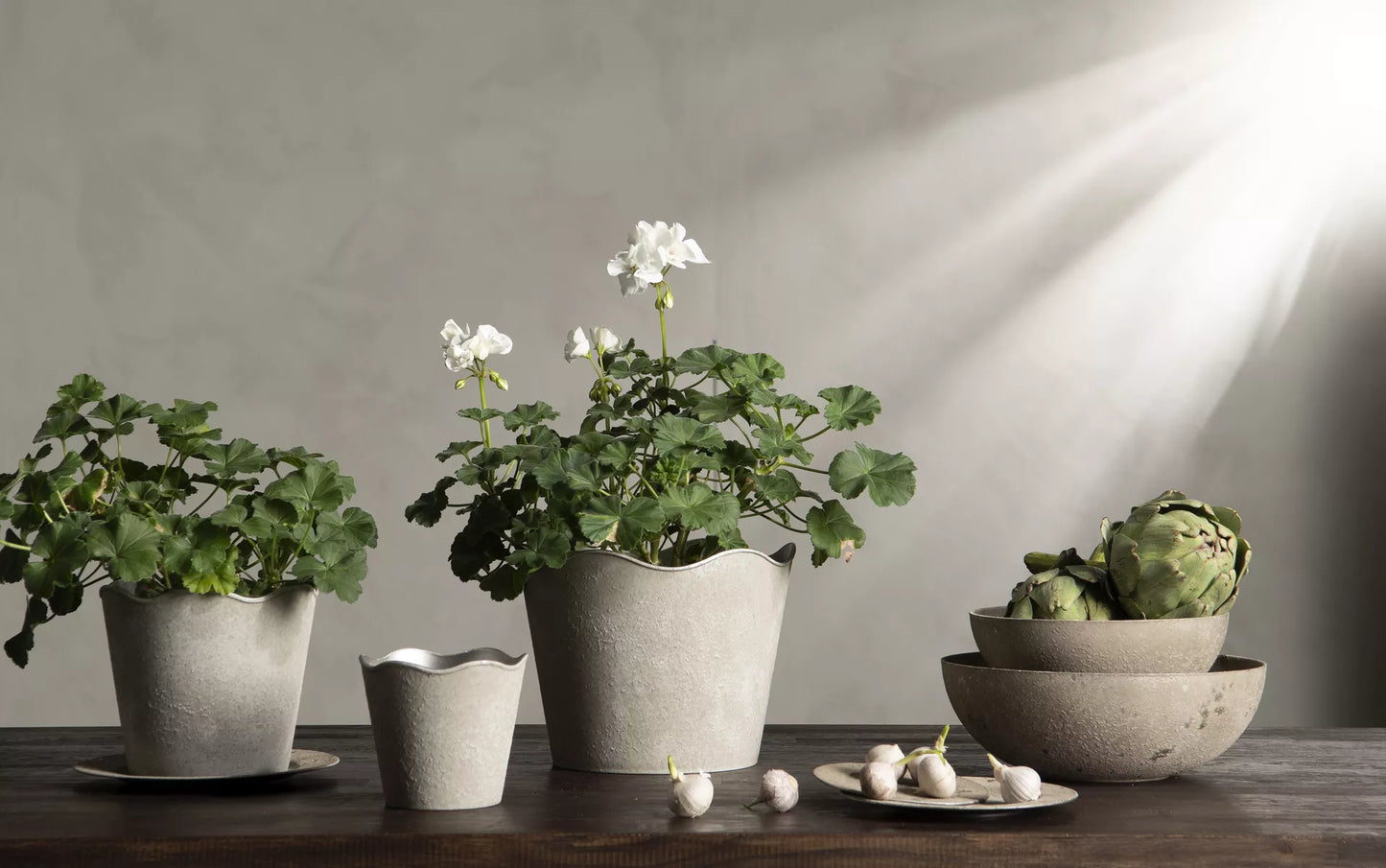 Hardplast Blomsterpotte Grå Fat Rondo 17x1,5cm