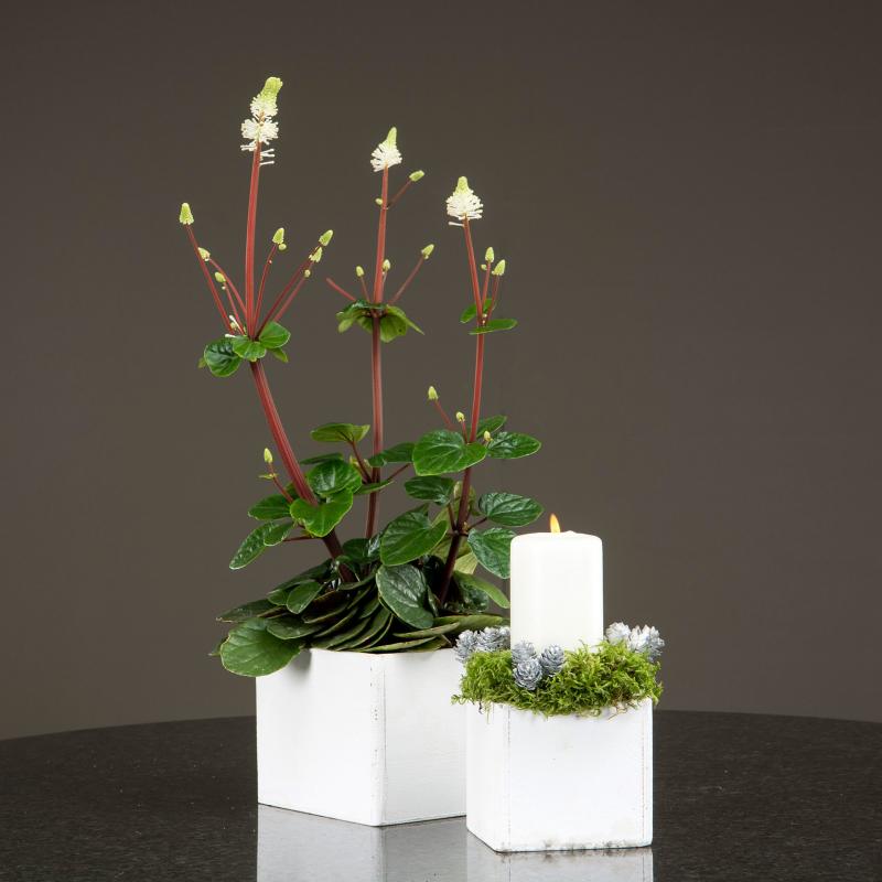 krukke - Antikk hvit 2-pack