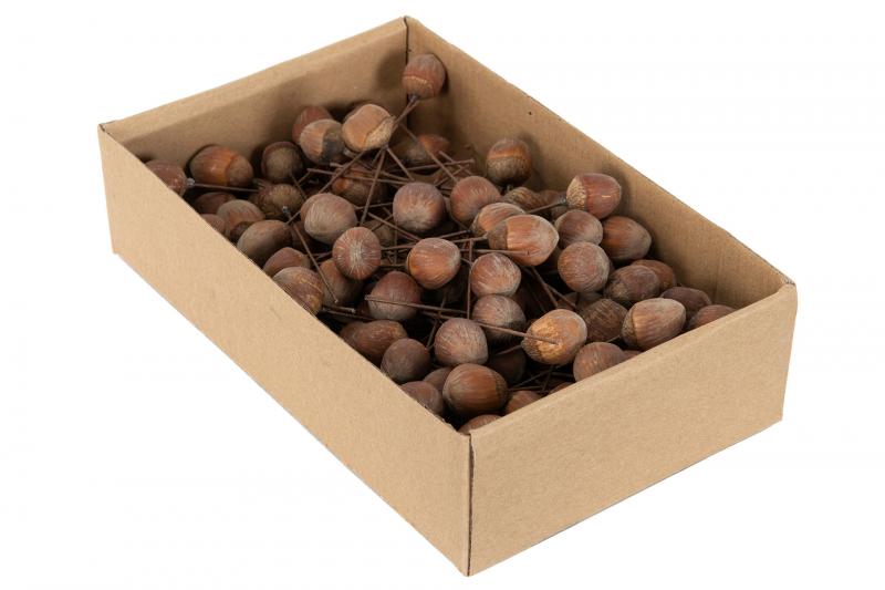 Pynt Hasselnøtt tråd Naturlig 2cm 25-pack